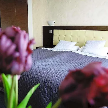 Platinum Hotel 3*