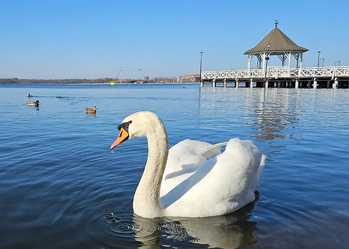 Hotel Platinum Ostroda